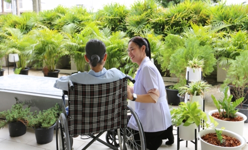 The Senior Nursing Home