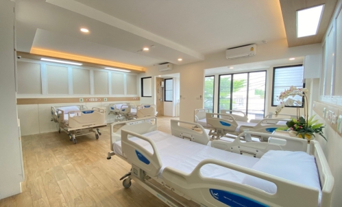 The Senior Nursing Home