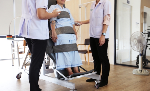 The Senior Nursing Home