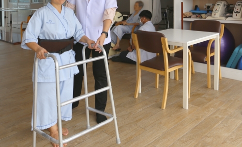 The Senior Nursing Home